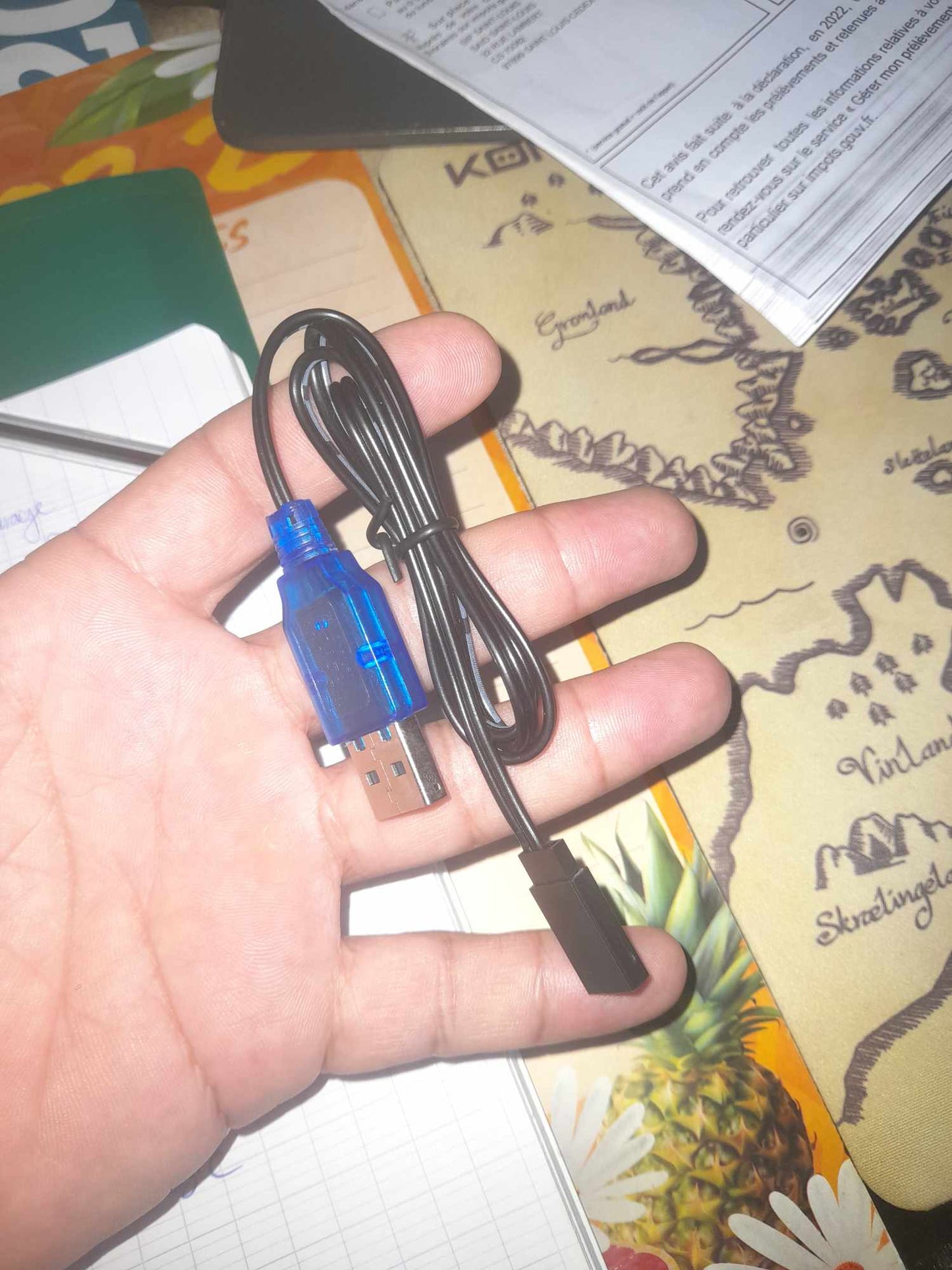 Cable pour télécommande chargeur