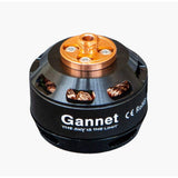 Moteur pour Gannet PRO et Lite V2